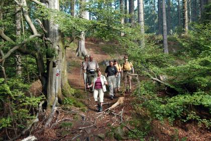 Sintfeld Höhenweg